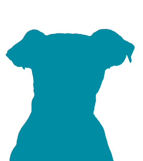 Dog silhouette
